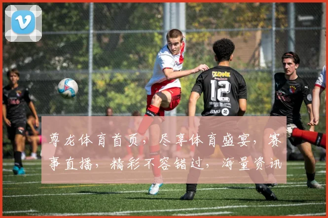尊龙体育首页，尽享体育盛宴，赛事直播，精彩不容错过，海量资讯，一网打尽