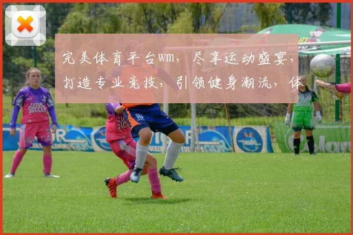 完美体育平台wm，尽享运动盛宴，打造专业竞技，引领健身潮流，体验非凡精彩