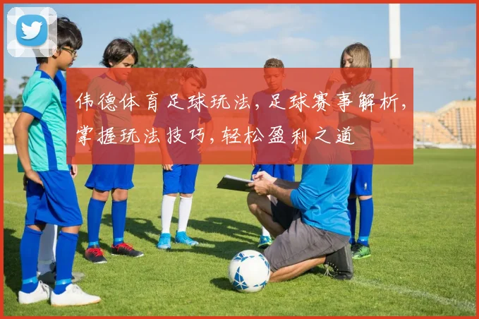 伟德体育足球玩法,足球赛事解析,掌握玩法技巧,轻松盈利之道